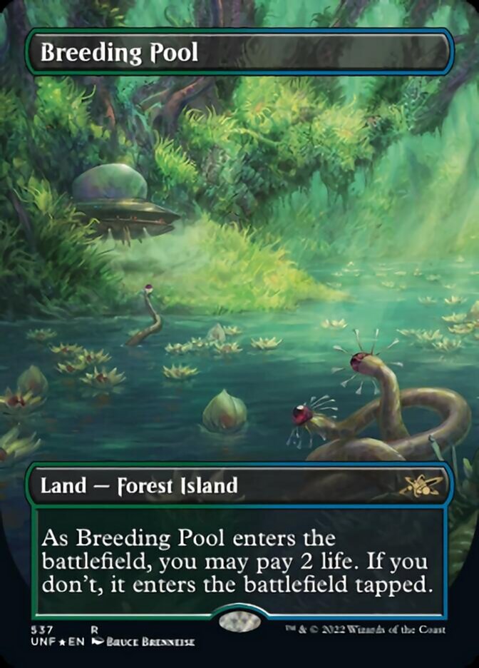 Breeding Pool (Borderless) (Galaxy Foil) [Unfinity] | Shuffle n Cut Hobbies & Games