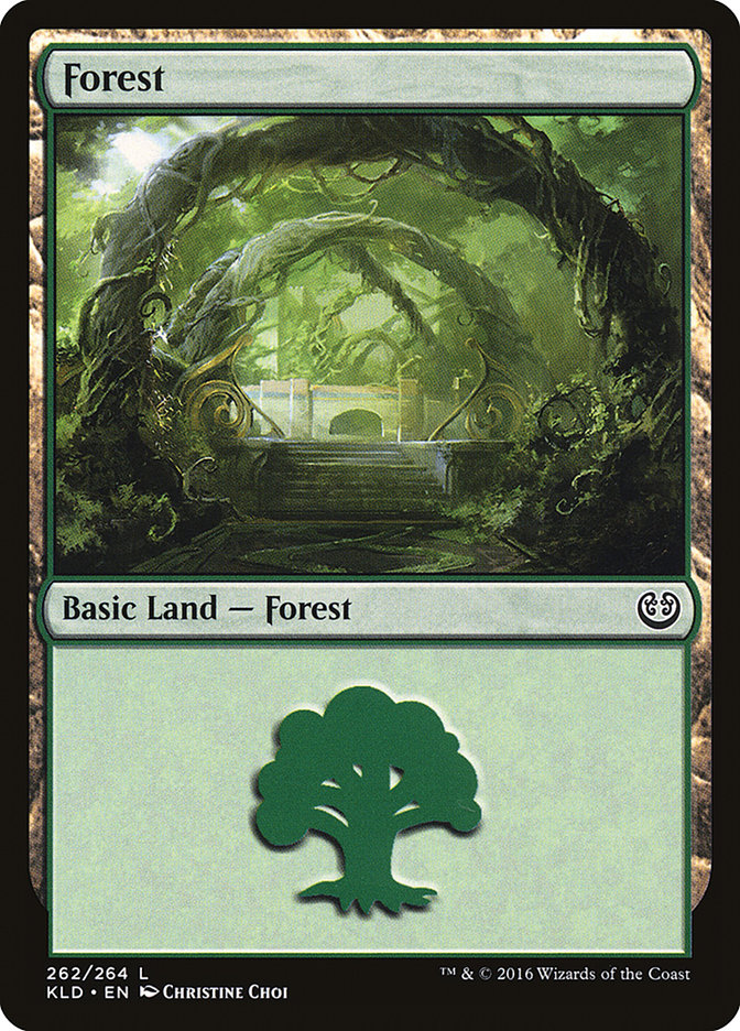 Forest (262) [Kaladesh] | Shuffle n Cut Hobbies & Games