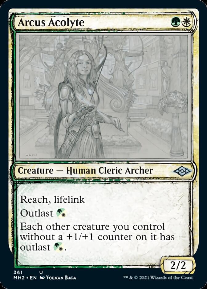 Arcus Acolyte (Sketch) [Modern Horizons 2] | Shuffle n Cut Hobbies & Games