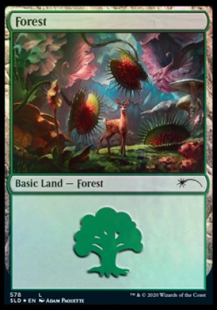 Forest (Predatory) (578) [Secret Lair Drop Promos] | Shuffle n Cut Hobbies & Games