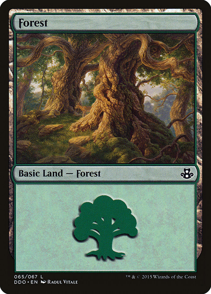 Forest (65) [Duel Decks: Elspeth vs. Kiora] | Shuffle n Cut Hobbies & Games