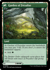 Disciple of Freyalise [Modern Horizons 3] | Shuffle n Cut Hobbies & Games