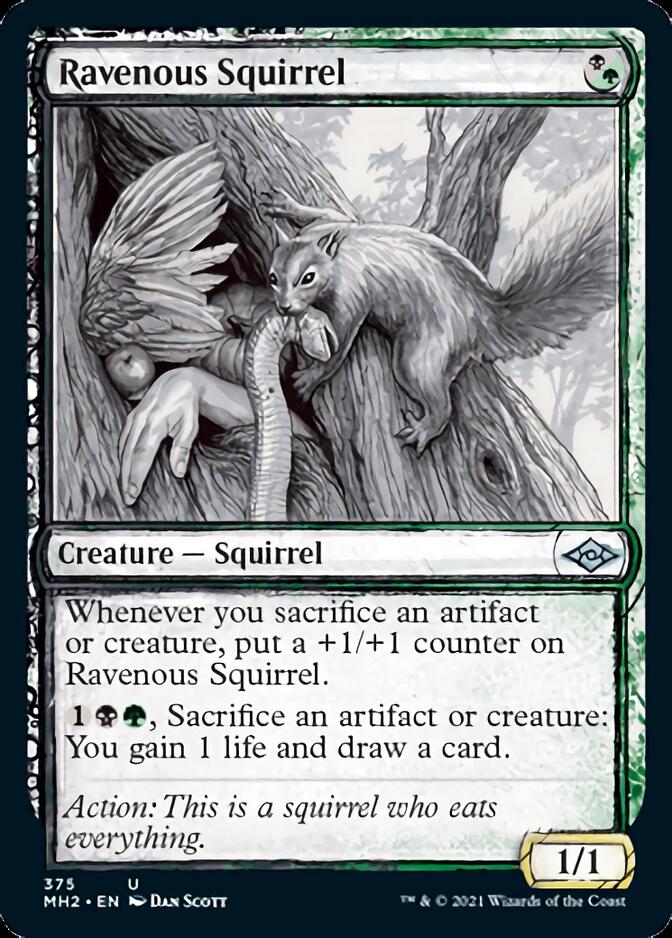 Ravenous Squirrel (Sketch) [Modern Horizons 2] | Shuffle n Cut Hobbies & Games