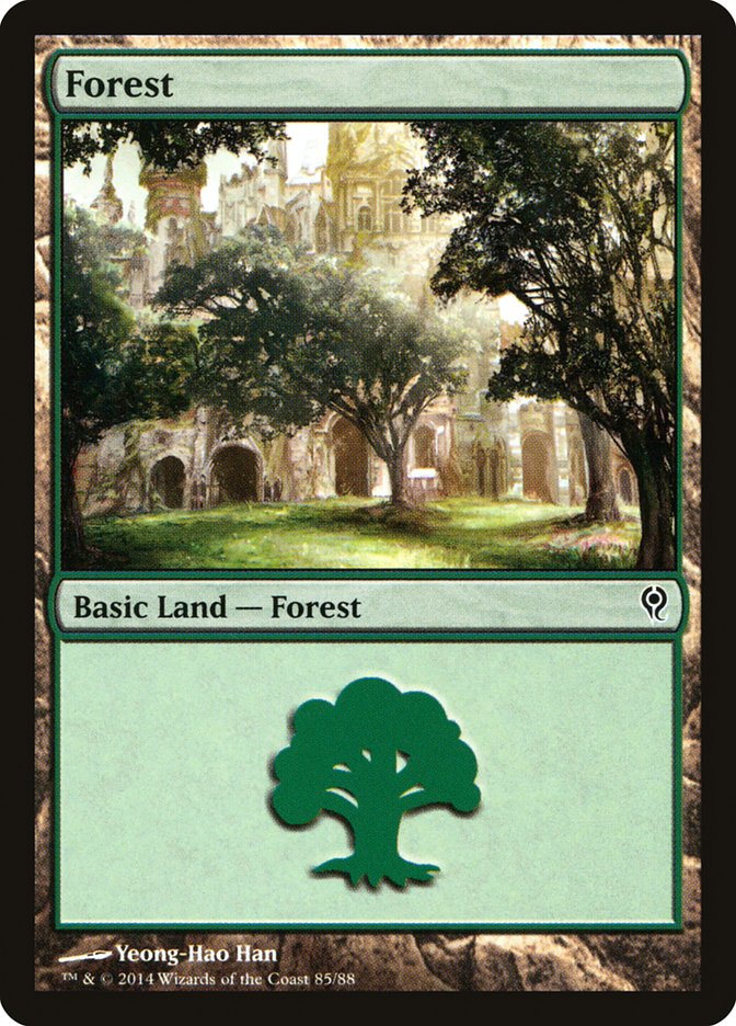 Forest (85) [Duel Decks: Jace vs. Vraska] | Shuffle n Cut Hobbies & Games