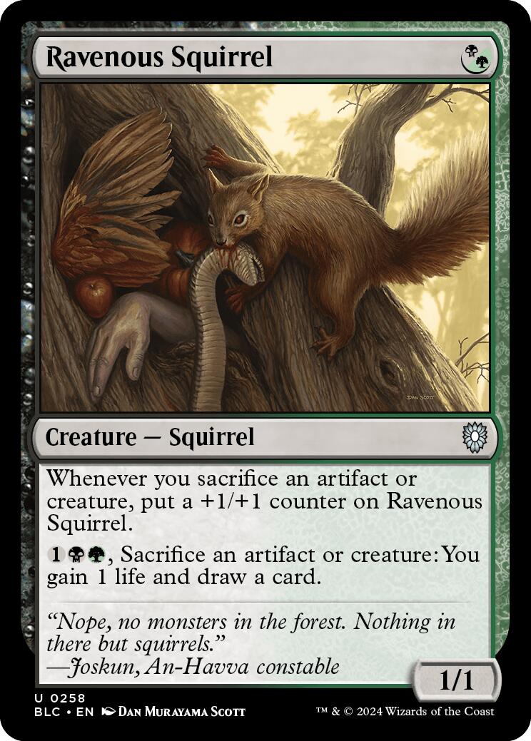 Ravenous Squirrel [Bloomburrow Commander] | Shuffle n Cut Hobbies & Games