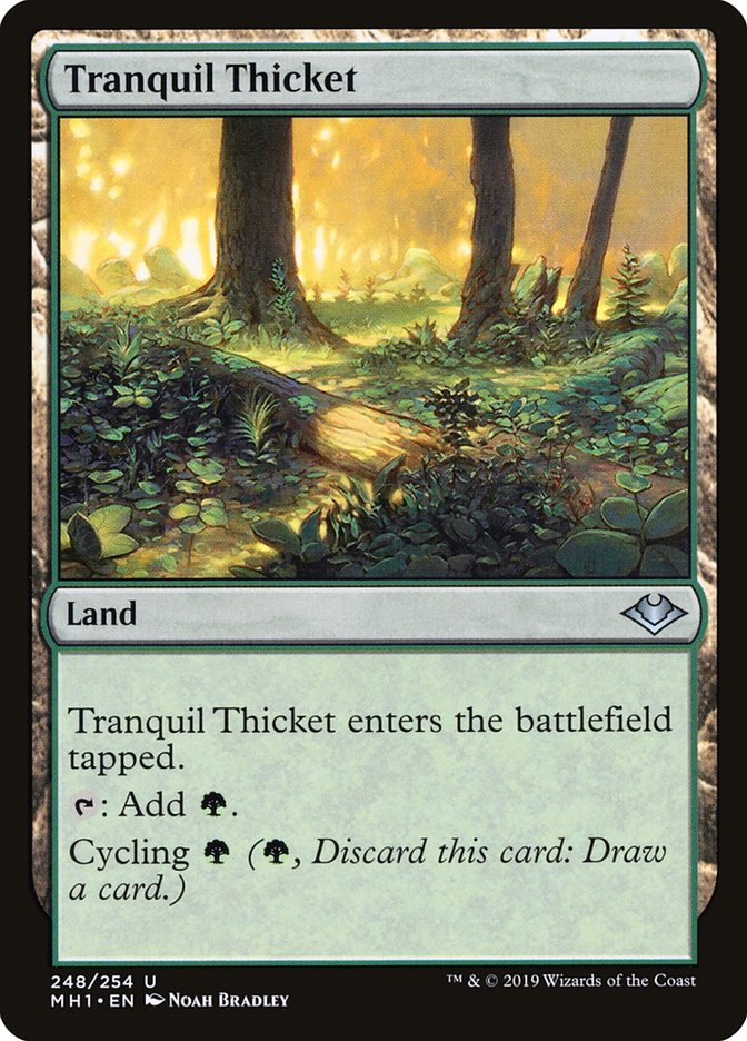 Tranquil Thicket [Modern Horizons] | Shuffle n Cut Hobbies & Games