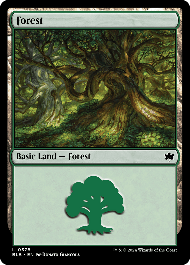 Forest (0378) [Bloomburrow] | Shuffle n Cut Hobbies & Games