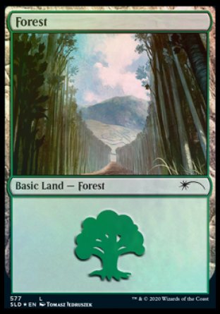 Forest (Walls) (577) [Secret Lair Drop Promos] | Shuffle n Cut Hobbies & Games