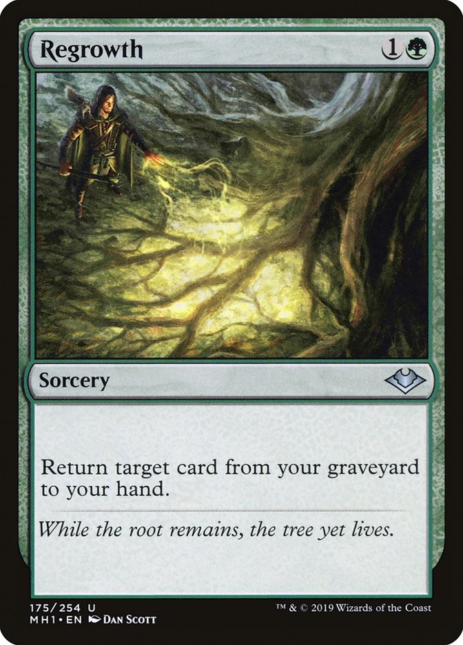 Regrowth [Modern Horizons] | Shuffle n Cut Hobbies & Games