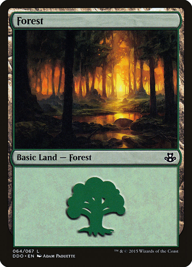 Forest (64) [Duel Decks: Elspeth vs. Kiora] | Shuffle n Cut Hobbies & Games