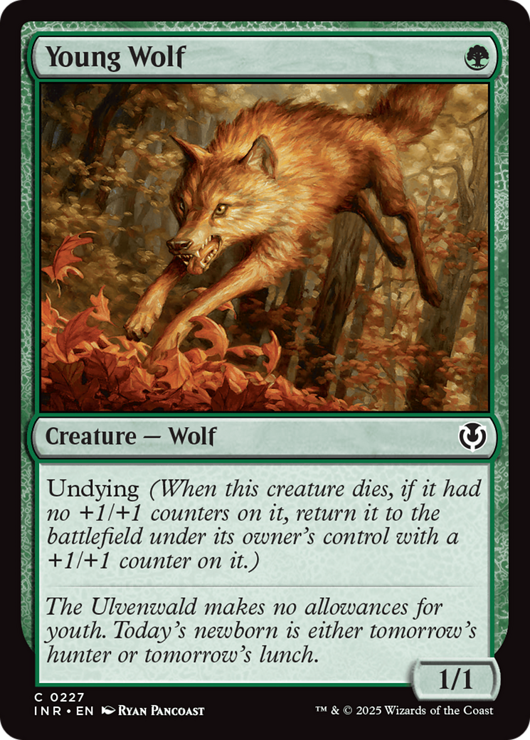 Young Wolf [Innistrad Remastered] | Shuffle n Cut Hobbies & Games