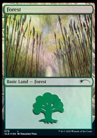 Forest (Elves) (579) [Secret Lair Drop Promos] | Shuffle n Cut Hobbies & Games