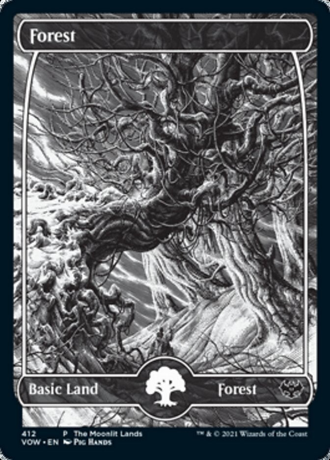 Forest (The Moonlit Lands) (Foil Etched) [Innistrad: Crimson Vow Promos] | Shuffle n Cut Hobbies & Games