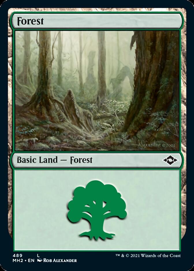 Forest (489) (Foil Etched) [Modern Horizons 2] | Shuffle n Cut Hobbies & Games