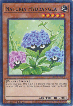 Naturia Hydrangea (Duel Terminal) [HAC1-EN107] Common | Shuffle n Cut Hobbies & Games