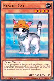 Rescue Cat [DUSA-EN072] Ultra Rare | Shuffle n Cut Hobbies & Games