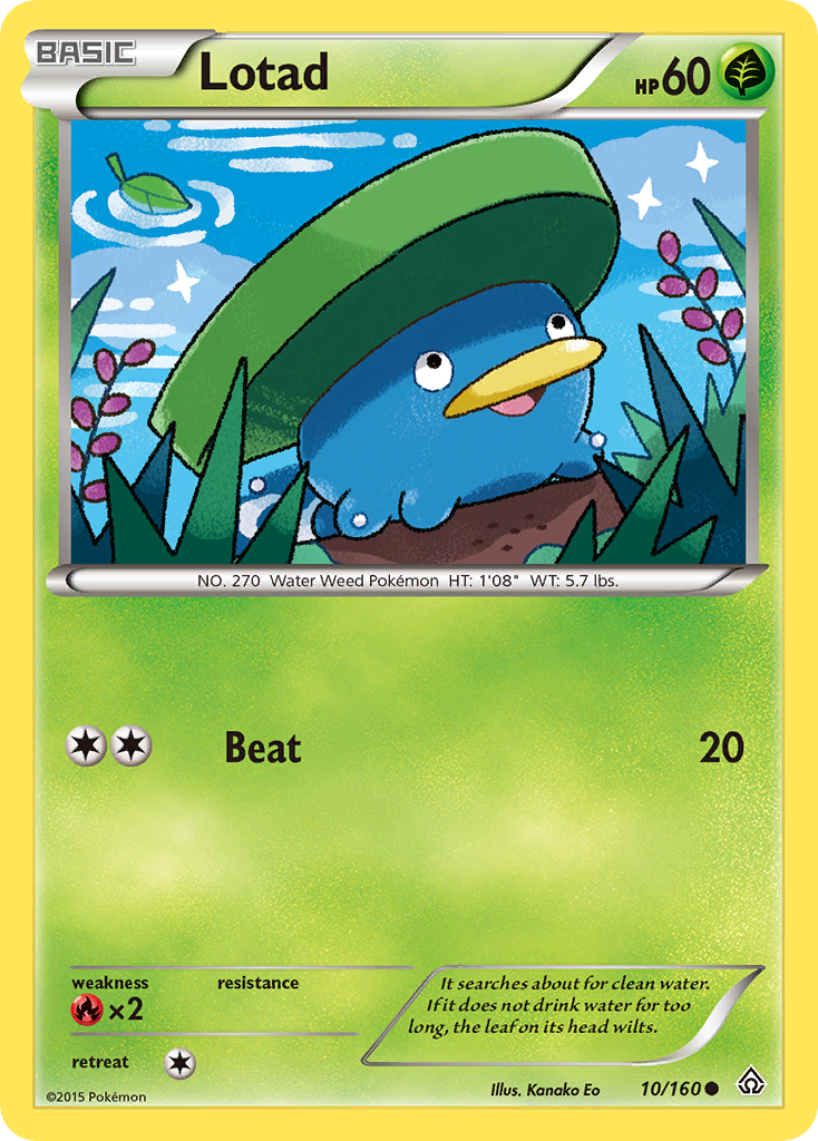 Lotad (10/160) [XY: Primal Clash] | Shuffle n Cut Hobbies & Games