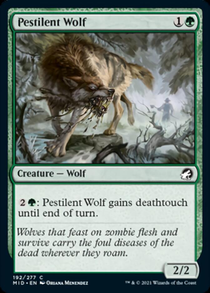 Pestilent Wolf [Innistrad: Midnight Hunt] | Shuffle n Cut Hobbies & Games