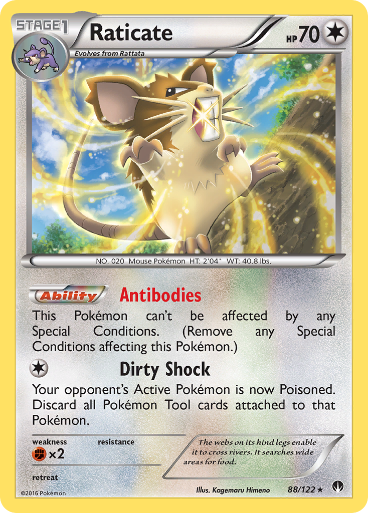 Raticate (88/122) [XY: BREAKpoint] | Shuffle n Cut Hobbies & Games