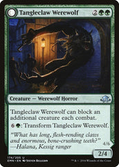 Tangleclaw Werewolf // Fibrous Entangler [Eldritch Moon] | Shuffle n Cut Hobbies & Games