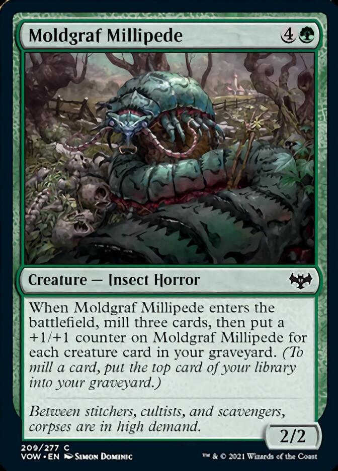 Moldgraf Millipede [Innistrad: Crimson Vow] | Shuffle n Cut Hobbies & Games