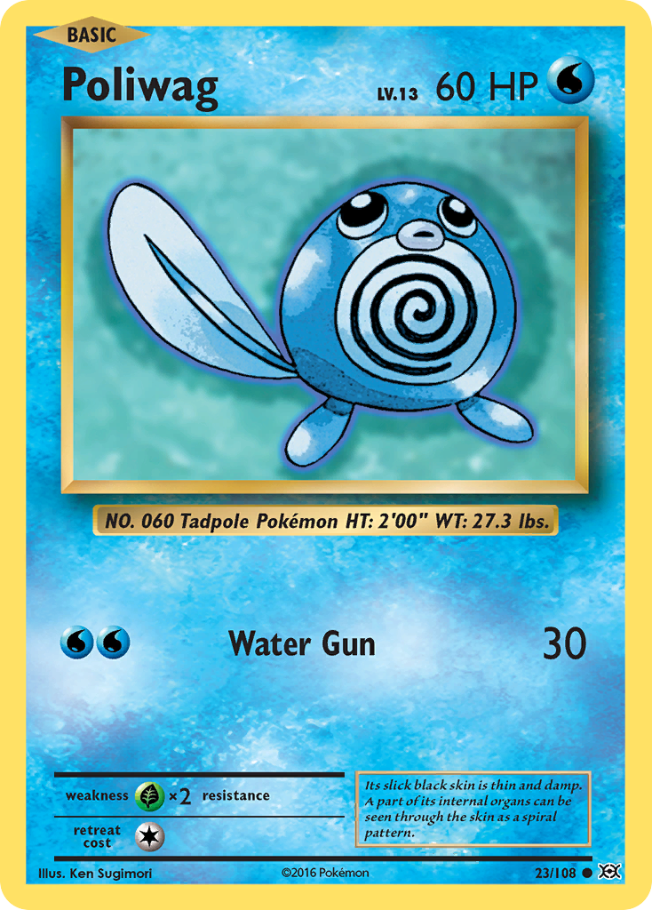 Poliwag (23/108) [XY: Evolutions] | Shuffle n Cut Hobbies & Games