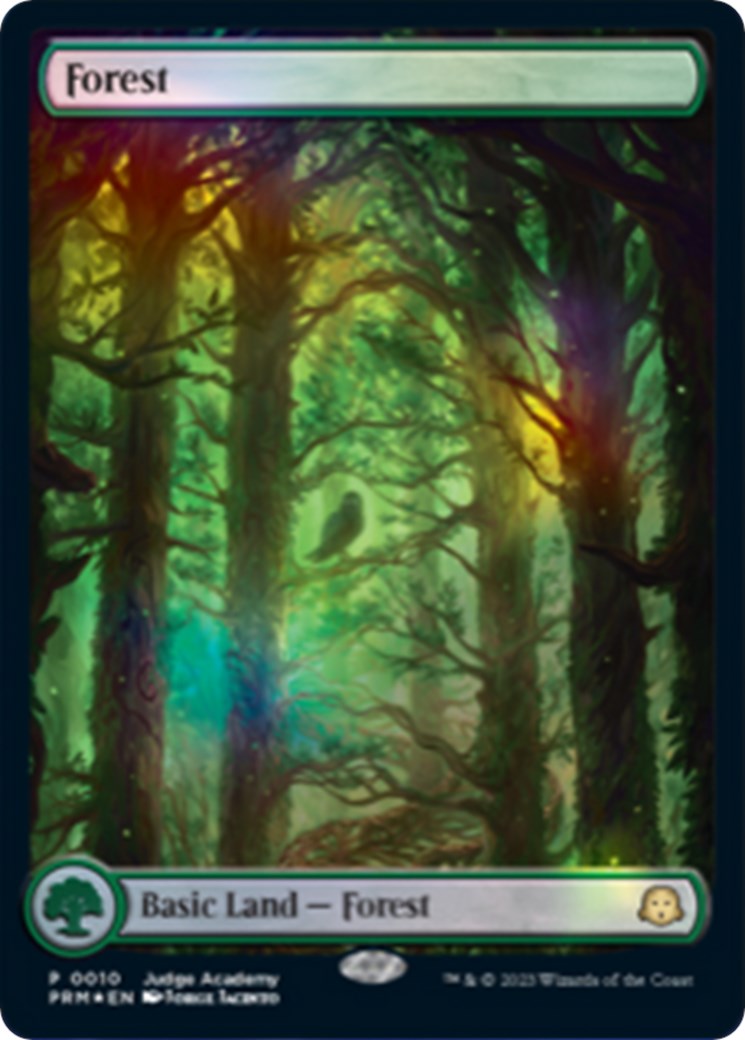 Forest [Judge Gift Cards 2023] | Shuffle n Cut Hobbies & Games