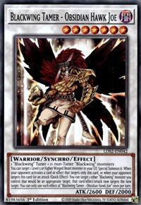 Blackwing Tamer - Obsidian Hawk Joe [LDS2-EN042] Common | Shuffle n Cut Hobbies & Games