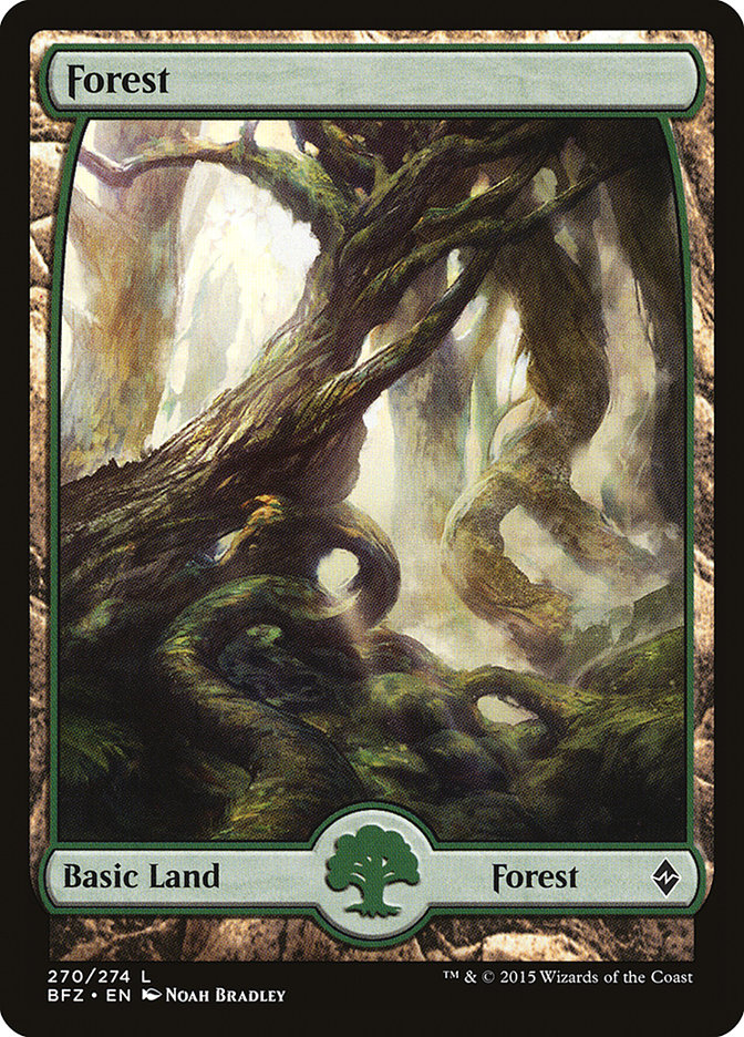 Forest (270) (Full Art) [Battle for Zendikar] | Shuffle n Cut Hobbies & Games