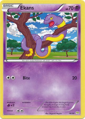 Ekans (16/30) [XY: Trainer Kit - Noivern] | Shuffle n Cut Hobbies & Games