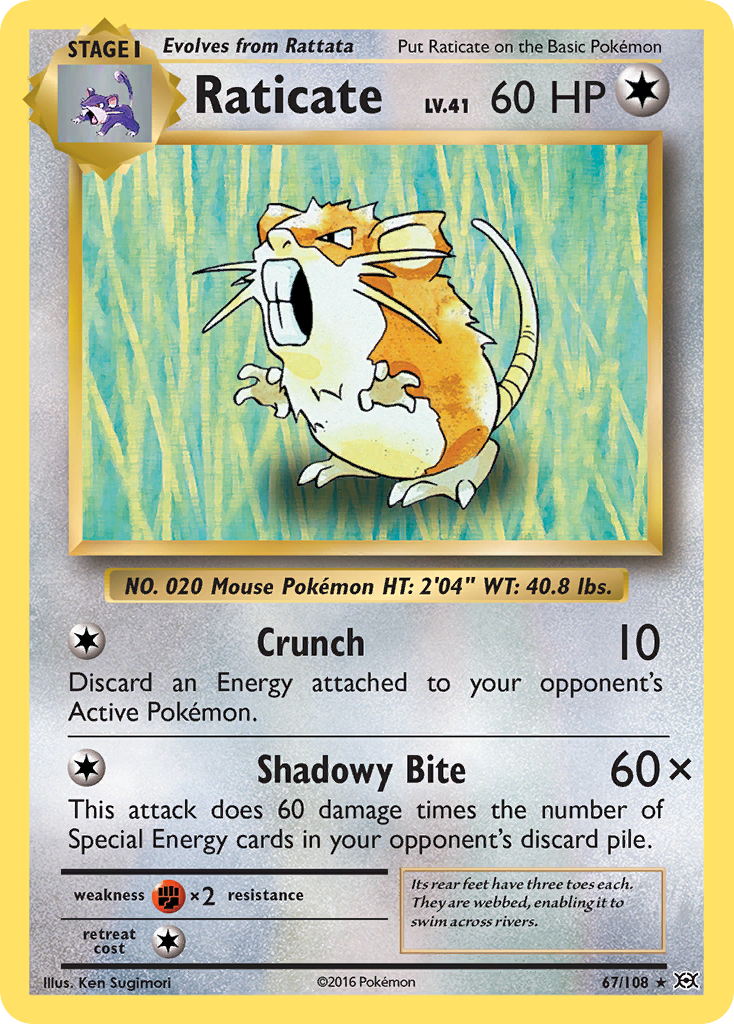 Raticate (67/108) [XY: Evolutions] | Shuffle n Cut Hobbies & Games