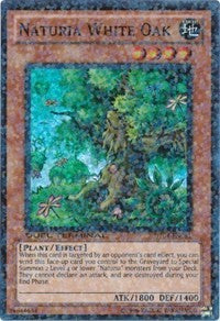 Naturia White Oak [DT04-EN081] Super Rare | Shuffle n Cut Hobbies & Games