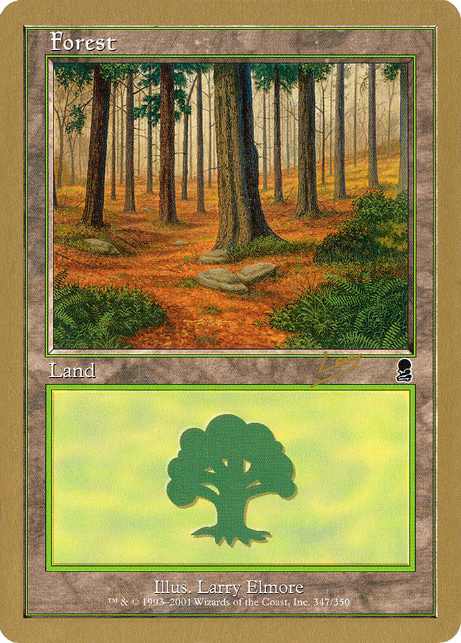 Forest (rl347) (Raphael Levy) [World Championship Decks 2002] | Shuffle n Cut Hobbies & Games