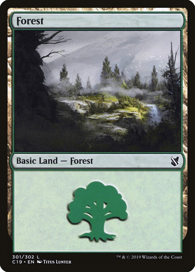 Forest (301) [Commander 2019] | Shuffle n Cut Hobbies & Games