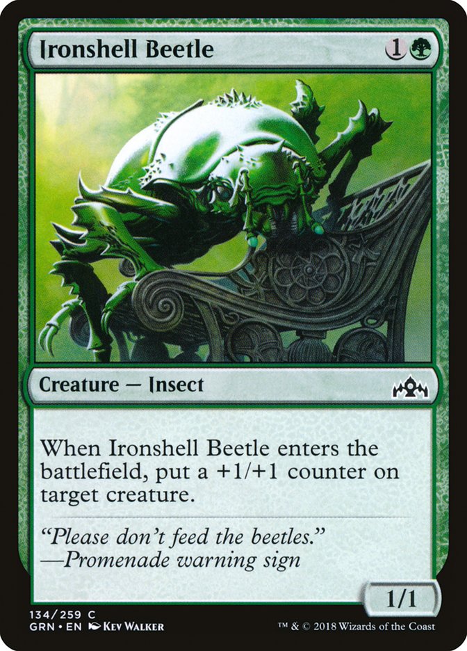 Ironshell Beetle [Guilds of Ravnica] | Shuffle n Cut Hobbies & Games