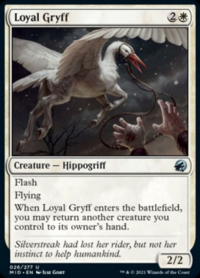 Loyal Gryff [Innistrad: Midnight Hunt] | Shuffle n Cut Hobbies & Games