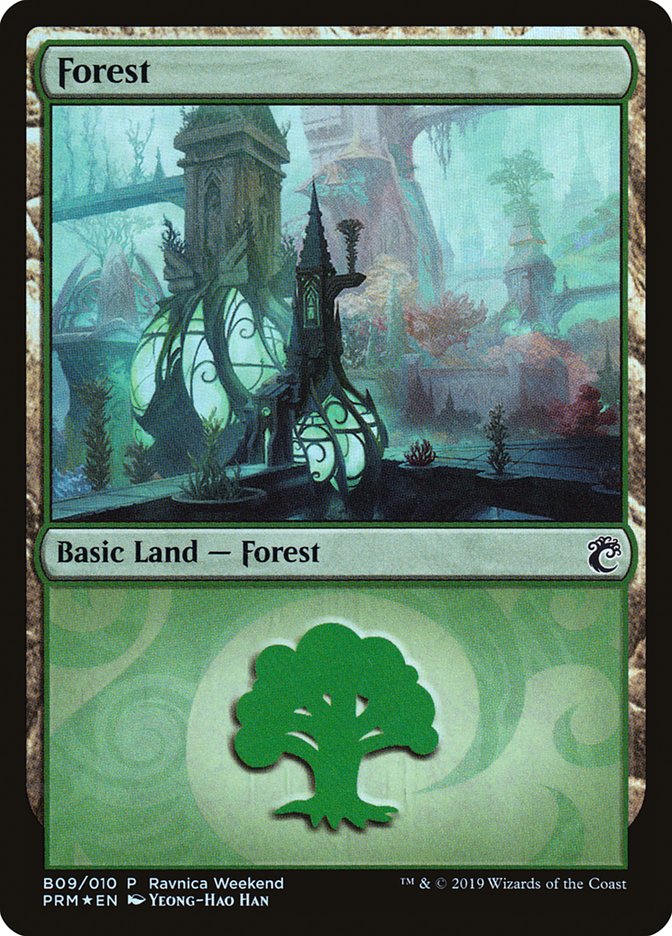 Forest (B09) [Ravnica Allegiance Guild Kit] | Shuffle n Cut Hobbies & Games