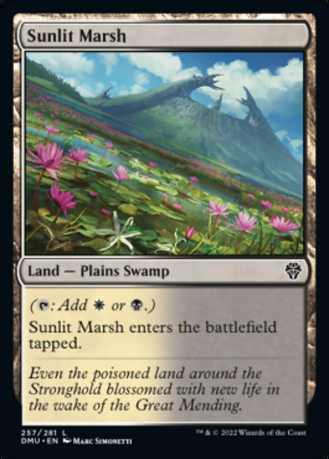 Sunlit Marsh [Dominaria United] | Shuffle n Cut Hobbies & Games