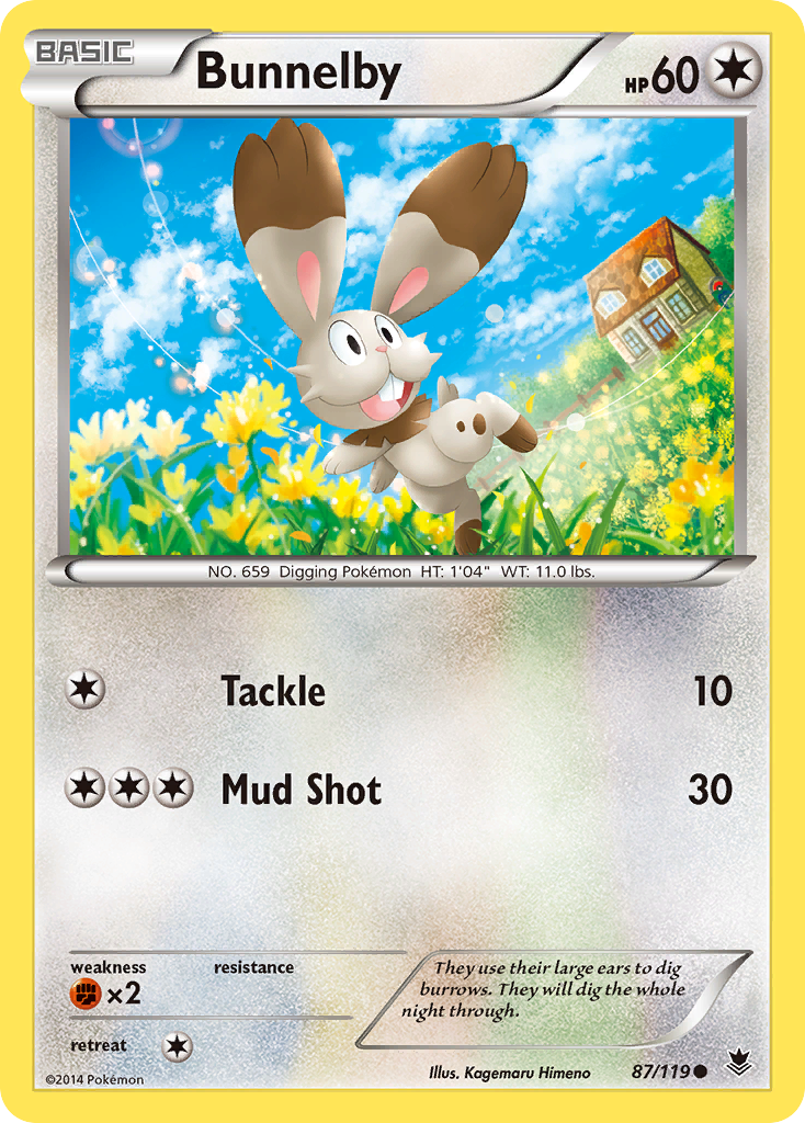 Bunnelby (87/119) [XY: Phantom Forces] | Shuffle n Cut Hobbies & Games