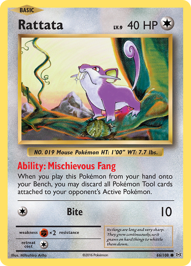 Rattata (66/108) [XY: Evolutions] | Shuffle n Cut Hobbies & Games