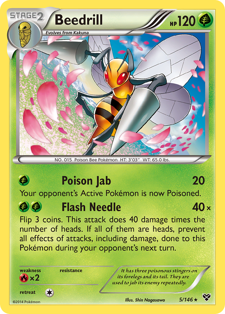 Beedrill (5/146) [XY: Base Set] | Shuffle n Cut Hobbies & Games