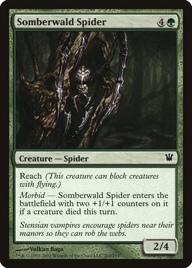 Somberwald Spider [Innistrad] | Shuffle n Cut Hobbies & Games