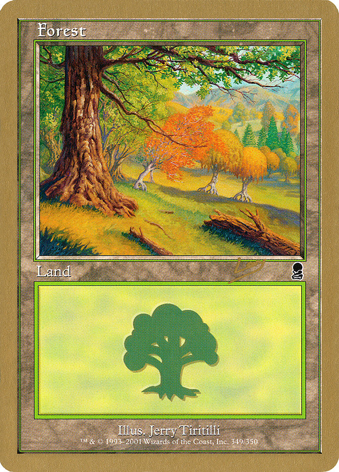 Forest (349) (Raphael Levy) [World Championship Decks 2002] | Shuffle n Cut Hobbies & Games