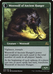 Sage of Ancient Lore // Werewolf of Ancient Hunger [Shadows over Innistrad] | Shuffle n Cut Hobbies & Games