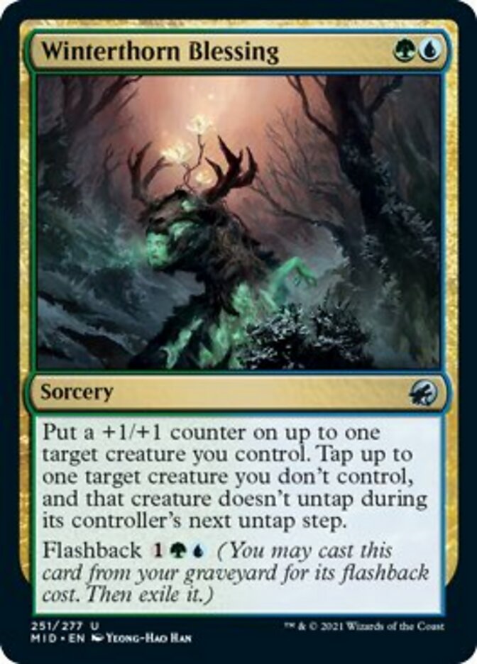 Winterthorn Blessing [Innistrad: Midnight Hunt] | Shuffle n Cut Hobbies & Games