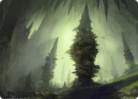 Forest (280) Art Card [Dungeons & Dragons: Adventures in the Forgotten Realms Art Series] | Shuffle n Cut Hobbies & Games