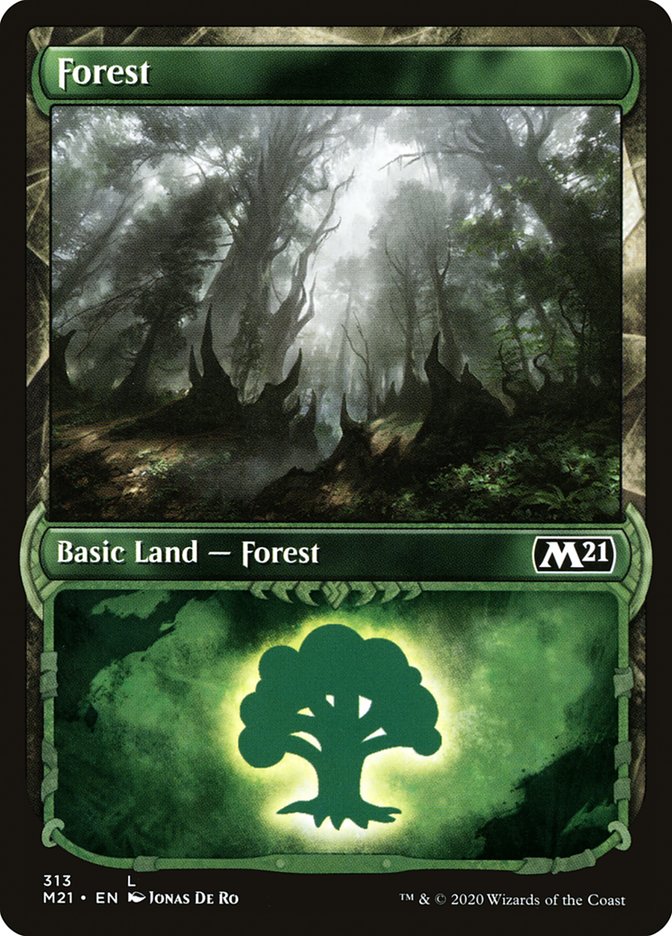 Forest (313) (Showcase) [Core Set 2021] | Shuffle n Cut Hobbies & Games