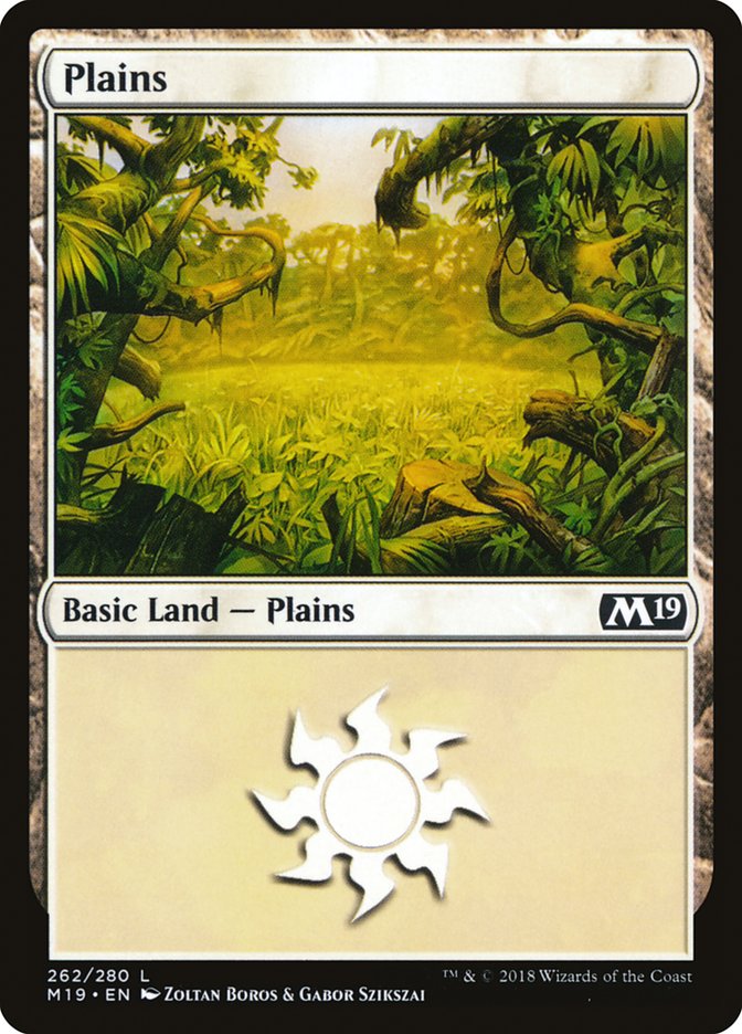 Plains (262) [Core Set 2019] | Shuffle n Cut Hobbies & Games