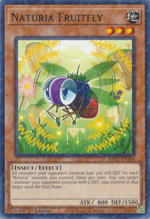 Naturia Fruitfly (Duel Terminal) [HAC1-EN106] Common | Shuffle n Cut Hobbies & Games