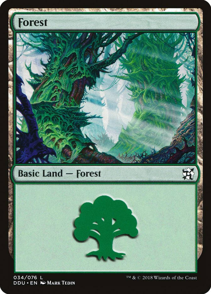 Forest (34) [Duel Decks: Elves vs. Inventors] | Shuffle n Cut Hobbies & Games